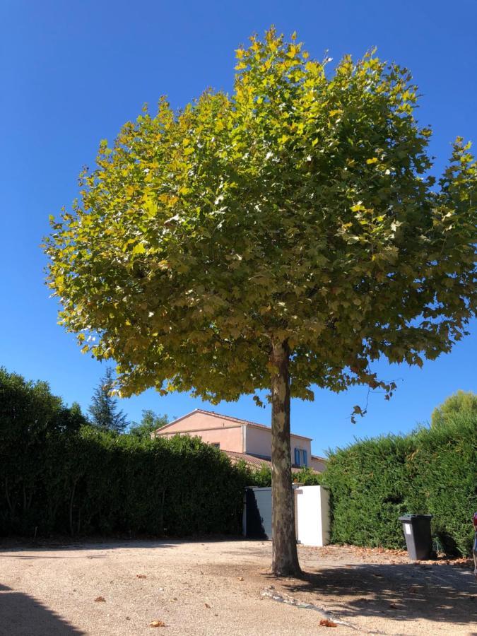 Avec Vue Campagne Homestay *