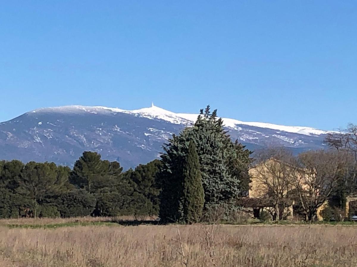 Avec Vue Campagne Carpentras